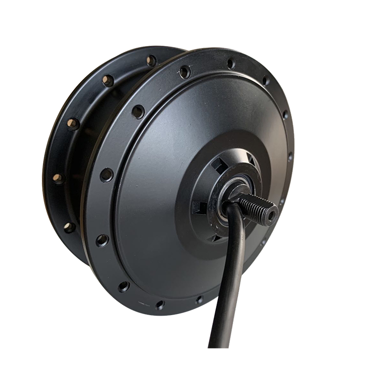 Ebike Brushless Inner Gear Hub Motor 36V250W Buy Ebike Brushless